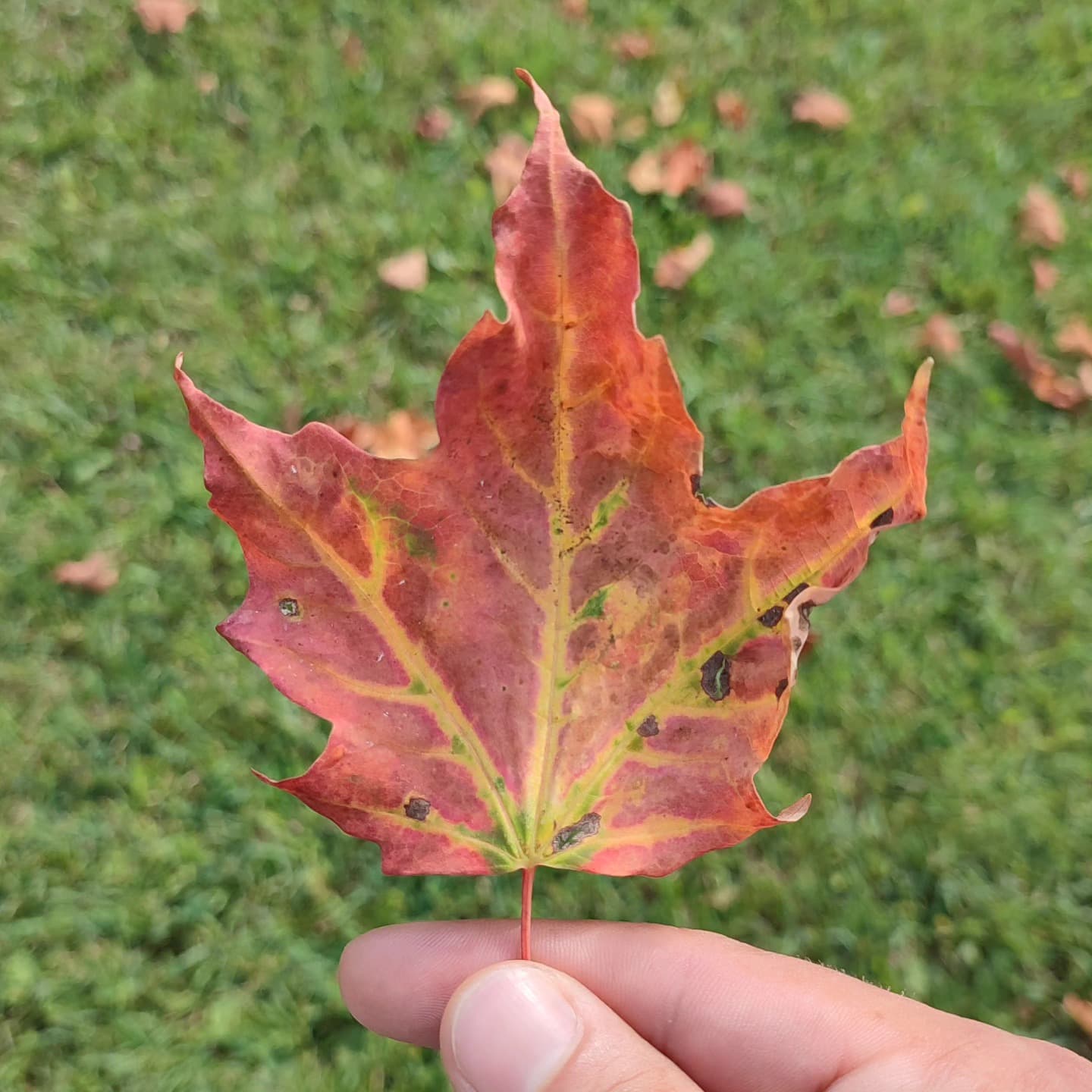 community_moment_6 community