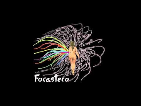 Flujo Orgánico – Original Song | Nightsyrc